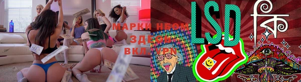 соль ск Нефтекумск